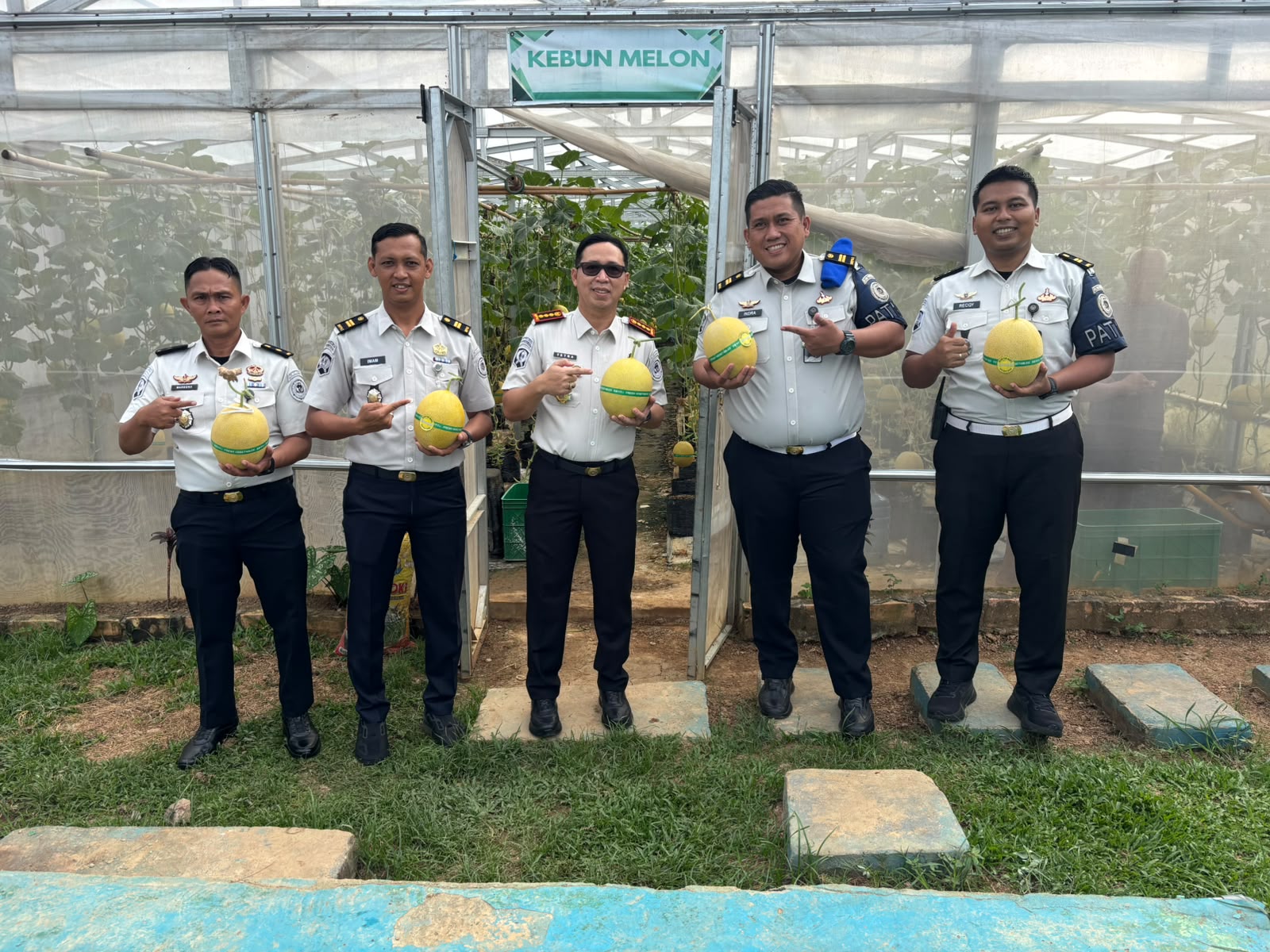 Panen Berkelanjutan! Green House Melon Inthanon Lapas Banyuasin Kembali Hasilkan Lebih dari Satu Ton